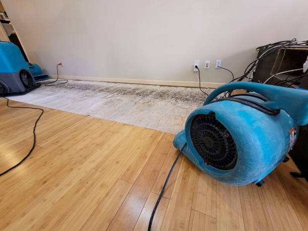 Reliable Basement Flood Cleanup contractor in Two Rivers, WI by Hirex Water Damage