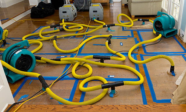 Professional Basement Flood Cleanup technician working in Two Rivers, WI